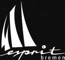 sailtraining-esprit bremen sail esprit sailtrainingesprit GIF