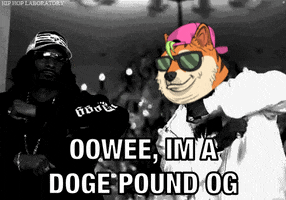 Snoop Dogg GIF by The Doge Pound