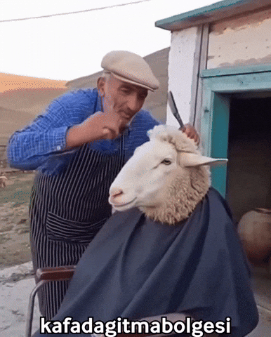 Barber GIF