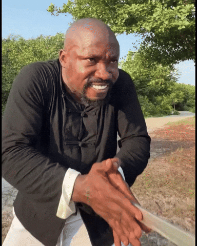 Trending Kunfu GIF