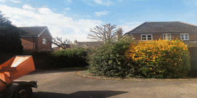 Shrub GIF