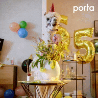 Celebrate Birthday Party GIF by porta Möbel