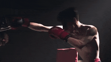 Boxing GIF by 404vincent