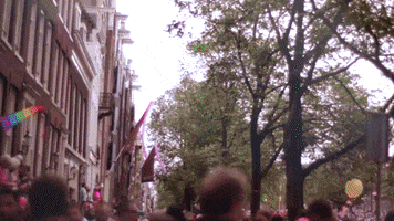 GIF by Pulitzer Amsterdam