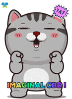 Happy Cat GIF by Imaginal Biotech
