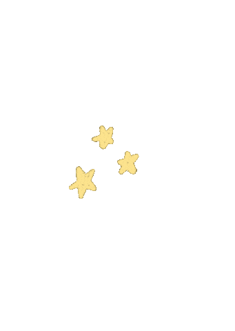Star Sticker