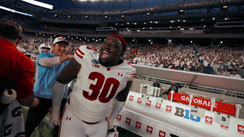 Celebrate College Football GIF by Wisconsin Badgers