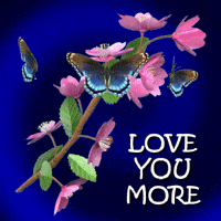 200.gif?cid=f0bdee70bxribvcwsln9vv20ownbx1uxe11pcveaiwudx6py&rid=200.gif&ct=g