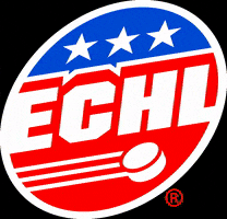 ECHLhockey GIF