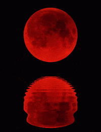 Phases-of-the-moon-gif GIFs - Get the best GIF on GIPHY