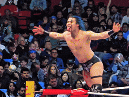 Mocking Lucha Libre GIF
