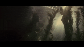 Sea Swim GIF by Copeland