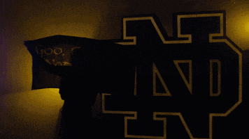 Football GIF