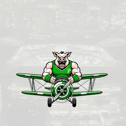 Mogidascruzes GIF by consuladosep.com.br