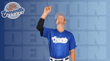 Baseball Point Up GIF by Evansville Otters