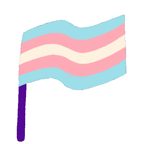 Trans Day Of Visibility Pride Sticker by Amazon Photos
