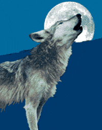 howling wolf animated gif