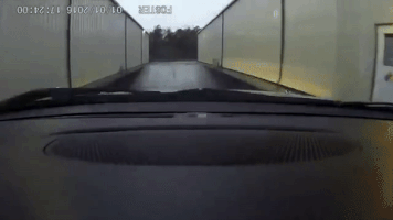 speedhunters  GIF