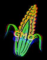 illustration farm GIF by Massive Science