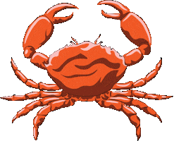 Animated Sticker