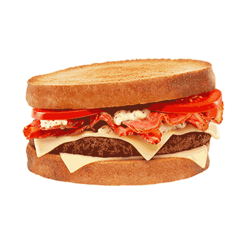Burger Quickntoast Sticker by Quick France
