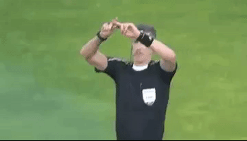 Referee Var GIF