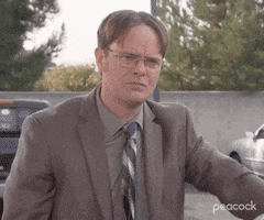 Season 9 Dwight GIF by The Office