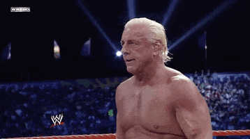 Ric Flair Sport GIF by WWE