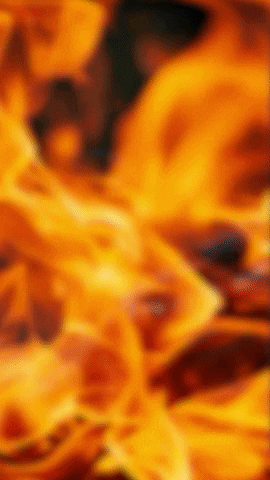 Guatemala Tt GIF by El Tambor de la Tribu