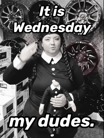 Wednesday Addams GIF by Sound FX
