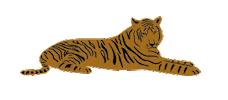 Tiger Chillin Sticker by Bread & Butter Club