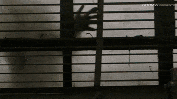 Peter Ho-Sun Chan Horror GIF by Arrow Video