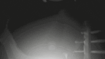 Ready To Fight Fight Night GIF