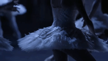 swan lake dancing GIF