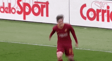 Celebrate Come On GIF by AS Roma