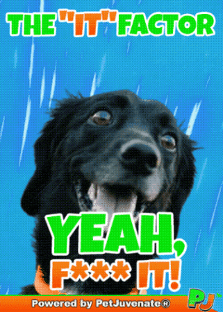 Sploot And Snoot Fur Baby GIF by PetJuvenate - PJ