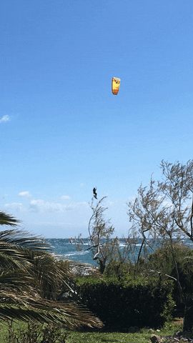 kitesurfing kiteboarding GIF