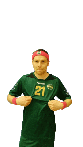 Hockey Salibandy Sticker by Floorball Turtles Berlin