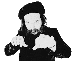 Spiderssing Sticker by Bigott