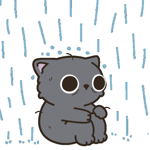 Rain Sticker by Bubu