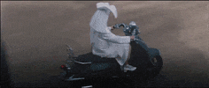 motorcycle wtf GIF by Kino Lorber