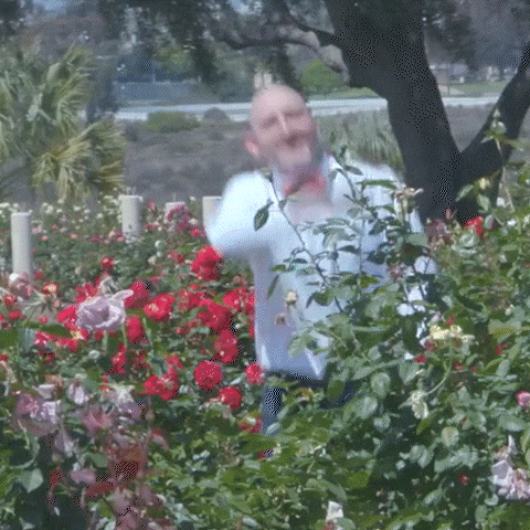 Youre Beautiful Never Forget GIF by Mega64