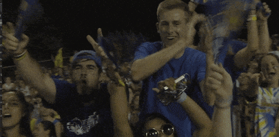 ncaa sports football GIF by Delaware Blue Hens