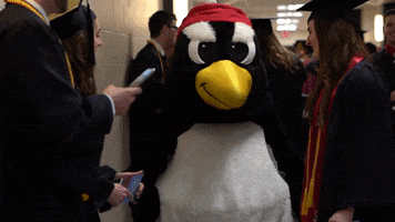 youngstown state university penguin GIF