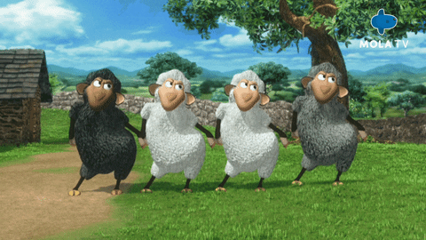 Dancing-sheep GIFs - Get the best GIF on GIPHY
