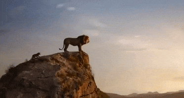 the lion king disney GIF