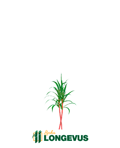 Agriculture Cane Sticker by Fertilaqua