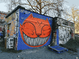 Cats Glas2019 GIF