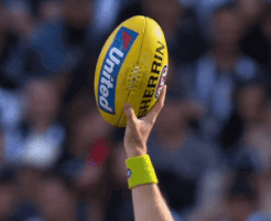 united bounce GIF by CollingwoodFC
