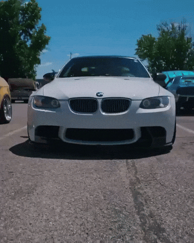 White GIF
